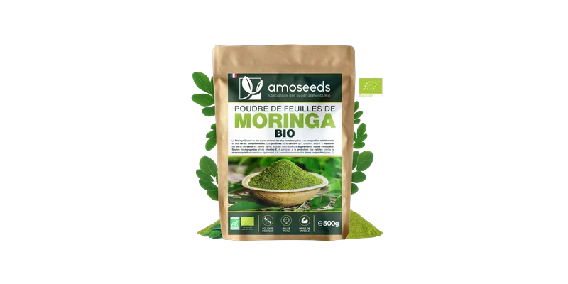 poudre-moringa-amoseeds