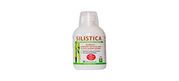 silistica-holistica