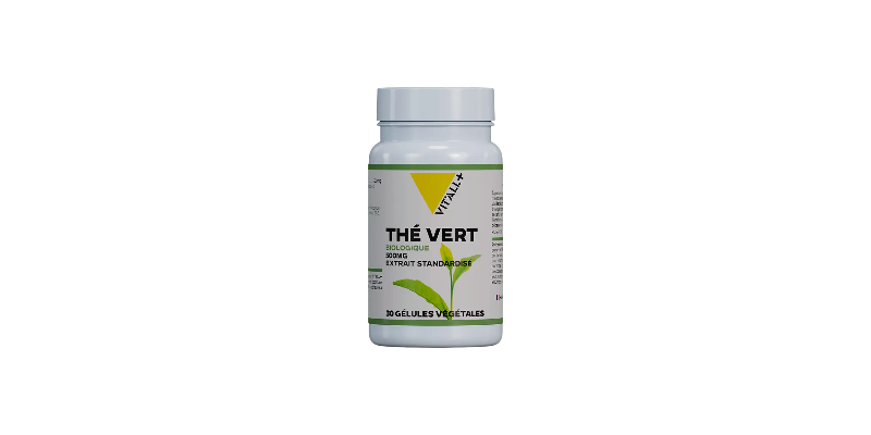 the-vert-500-mg-vitallplus