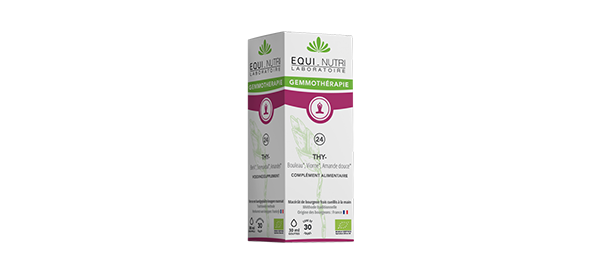 thy-24-equi-nutri