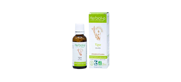 vigne-gemmo-ss-alc-herbiolys